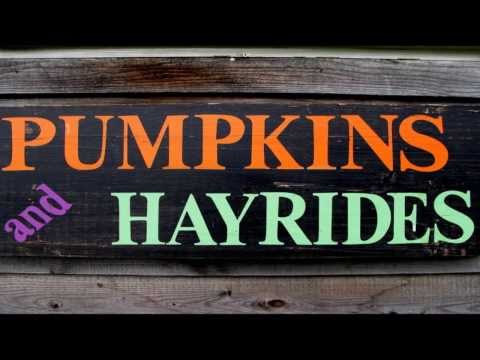 pumpkins-apples-and-hayrides-on-a-newburgh-ny-farm