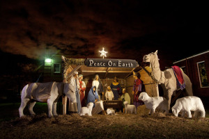 Places to See A Live Nativity